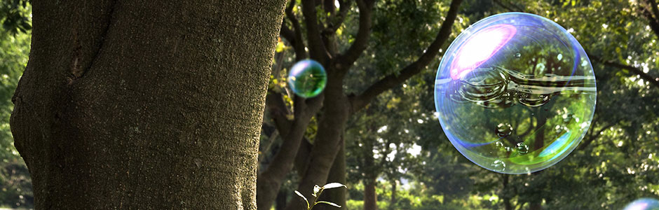 Tree trunks and green foliage in a park with a large translucent bubble floating in the foreground, serene outdoor mood